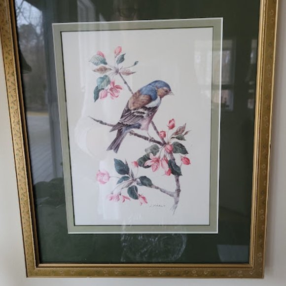 A. Marlin Bird Prints - Picture 7 of 14